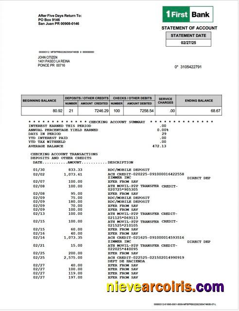 Puerto Rico 1 First Bank statement of account Word and PDF